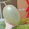 【太保青農】周慶原-嘉義溫室極光哈密瓜雙入禮盒(6斤/7斤/盒)(含運)