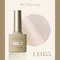 ARTiS di Voce 貓眼甲油膠8g CE055