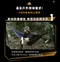 [ CAMPFIRE ] 達哥自創品牌 D型高承重登山扣-二入組 │ 台灣設計