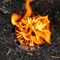 【SOLO STOVE】Titan不鏽鋼火箭爐／中