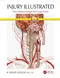 *Injury Illustrated: How Medical Images Win Legal Cases