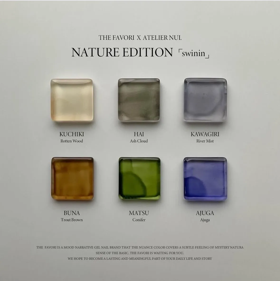 THE FAVORI x NUI Nature暈染液ver2. 6色