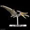 PLANNOSAURUS 07 翼手龍 Pteranodon 恐龍 組裝模型