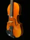 進口小提琴 PEN-VIOLIN 4/4 小提琴