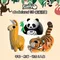 EUGY 3D紙板拼圖 【三入組】老虎、熊貓、羊駝