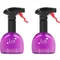 美國 EVO Oil Sprayer｜一噴上手噴油瓶小塑膠-兩入組（紫）