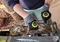 [  RealGrip ] Smart Touch 韓國手套L號 │ 野營手套 Real Grip 露營手套 工作手套 RealGrip 釣魚手套 登山手套 防油汙手套 防滑手套 韓國製造 早點名獨家販售