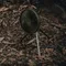 [ CARGO ] MULTI FAN 隨行風扇含收納盒｜免插電循環扇 露營風扇 戶外風扇 風扇含收納盒