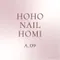 HOHO NAIL HOMI 玻璃裸透甲油膠 A07-A11單品