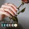 PRESTO 彩色凝膠 HL018*