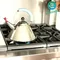 【缺貨】ALESSI 鳥鳴壼 2L #9093