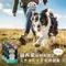 【喵村食堂😊】CHARM野性魅力原肉凍乾40g★零食 點心 人用等級食材☆