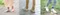 日本COGIT防災防穿刺防滑抗菌安全鞋墊3D足墊9209(通過耐踏穿性1100N測試;透氣防臭/減震柔軟;22.5~25cm可剪裁)防玻璃穿透