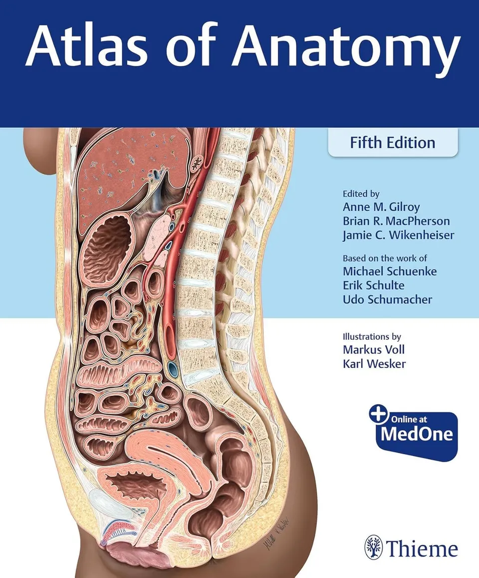 Anatomy 解剖学 1 1
