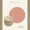 ARTiS di Voce 彩色凝膠2g 005