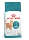 【喵村食堂😊】RoyalCanin皇家貓飼料★貓乾糧 飼料 貓糧★