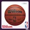 Wilson NBA AUTH系列 頂級