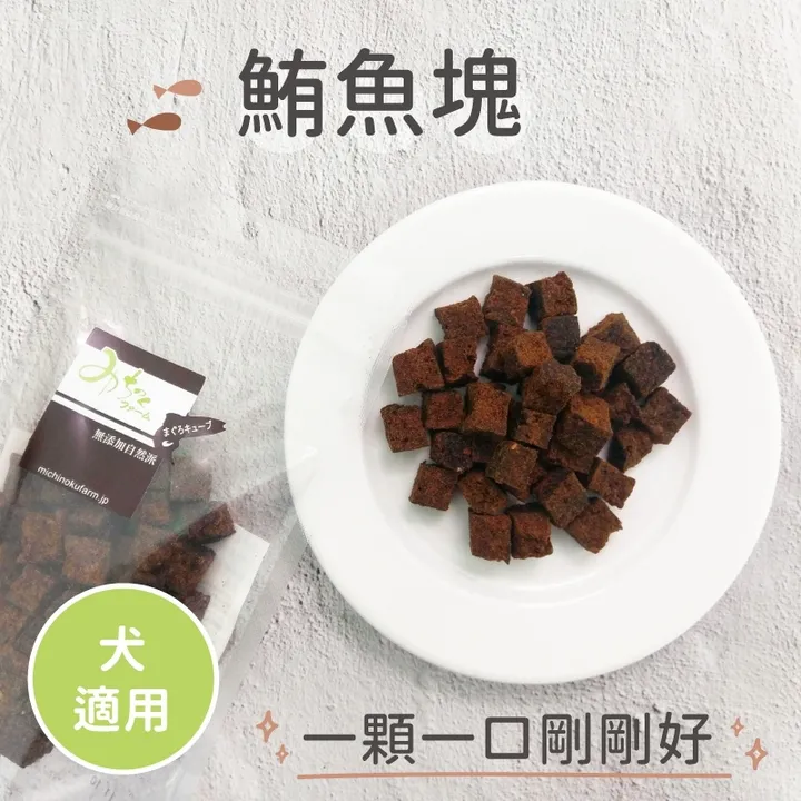 Kaibo鎧帛寵物商城