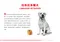 ROYAL CANIN法國皇家．BHN品種訂製系列【LBA拉不拉多成犬】12公斤(原LA30)