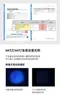 DIA純粹洗衣皂150g 佛手柑香氣