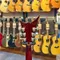 DBZ Cavallo Red 電吉他 v型