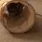 寵物商品／Gottagohome－Tyvek貓貓探索隧道！