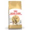 【喵村食堂😊】RoyalCanin皇家貓飼料★貓乾糧 飼料 貓糧★