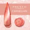 PRESTO Gel Jewels 珠寶系列套組