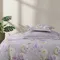 200織紗精梳棉兩用被床包組(特大)紫苑花香