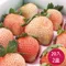 天藍果園-大湖三色草莓(20顆2盒)禮盒★含運組★預購中1月底出貨