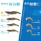 【成功青農】葉西城-100%純海水活凍海白蝦(大規300克16-18尾)x2包/組)(含運)