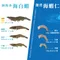【成功青農】葉西城-100%純海水活凍海白蝦(特大300克13-15尾)x2包/組)(含運)