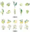 【貼紙包】朝花寄酒清新植物DIY手帳素材PET防水貼紙
