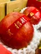 PR3856 農曆新年燙金緞帶 ｜ 新年緞帶 ｜ 燙金紅底絨布緞帶 15mm (PR3856 CHINESE NEW YEAR METALLIC VELVET RIBBON 15mm )