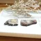 【絕版】超光鐵隕石切片10~12g