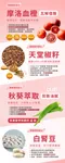 五膳大餐輕孅包 (白腎豆+苦瓜胜肽+血橙+天堂椒籽+酵素益生菌)