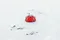 [ Heimplanet ] THE CAVE XL 66NORTH - 橘色｜限量聯名款 4-SEASON LIMITED EDITION 充氣帳 氣柱帳 打氣