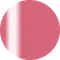 PRESTO 彩繪凝膠 L006