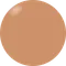 ARTiS di Voce 彩色甲油膠SO 17