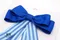 經典藍蝴蝶結 (Classic Blue Bow)｜婚禮｜條紋｜寶藍｜裝飾｜緞帶王｜海洋｜DIY