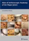 *Atlas of Arthroscopic Anatomy of Major Joints
