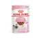 【喵村食堂😊】法國皇家貓主食濕糧85g★Royal Canin★餐包罐頭☆