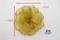 低調金色澎澎花(W441/Low-key gold Pengpeng Flower) ｜手作｜布置｜金色｜緞帶用途