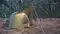 [ BUNDOK ]  SOLO DOME 1單人圓頂帳篷 BDK-08