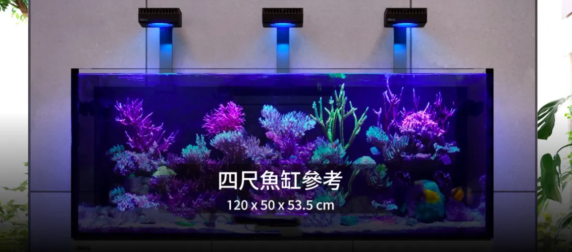 120cmtank