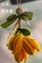 DIY珍珠絲帶掛件-現貨商品/預購商品/玫瑰花/向日葵/非洲菊/仿真/動手作/扭扭棒/掛飾/吊飾/交換禮物