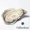 《預購》【法國吉拉朵】生蠔2號24入 No.2 Huitre Gillardeau oysters