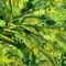 【Lauren Wan 設計師｜網購獨家】Sunlit Garden 暖陽花落系列：光影印象花海・質感印花布 (棉布/2色)