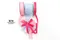<特惠套組> 綜合莓果套組  緞帶套組 禮盒包裝 蝴蝶結 手工材料 緞帶用途 緞帶批發