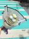 A2-26│乾燥花束│新北市花店│蘆洲花店│花束│訂花│送花